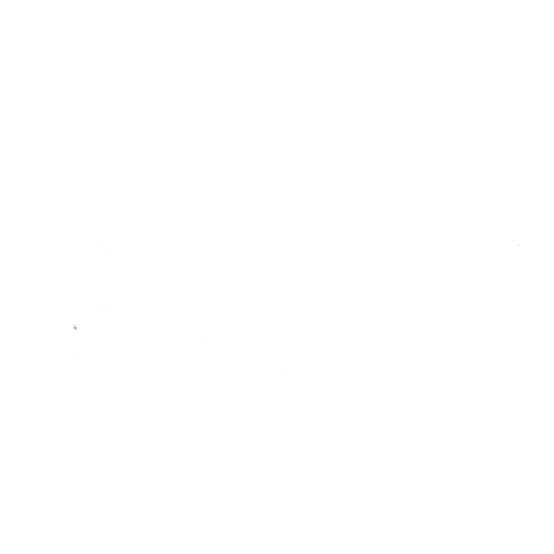 CTN Logo